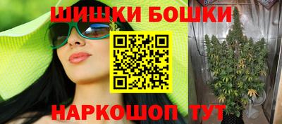 стаф Можга