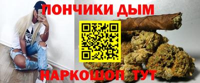 стаф Можга
