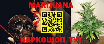стаф Можга