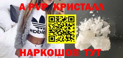 стаф Можга