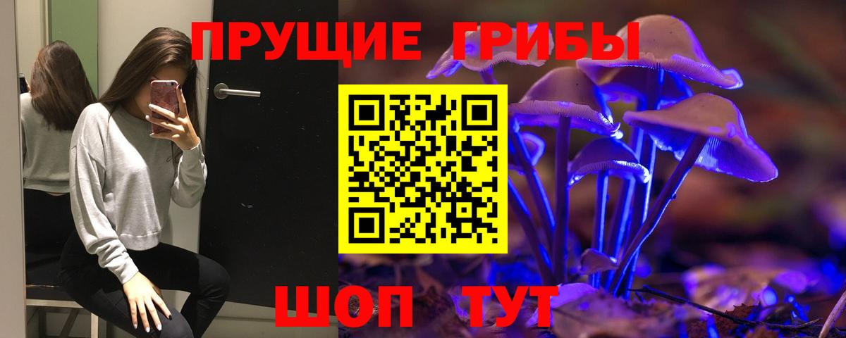 Псилоцибиновые грибы мицелий Шатура