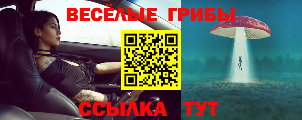 Шатура  Псилоцибиновые грибы мухоморы  Вход с VPN 